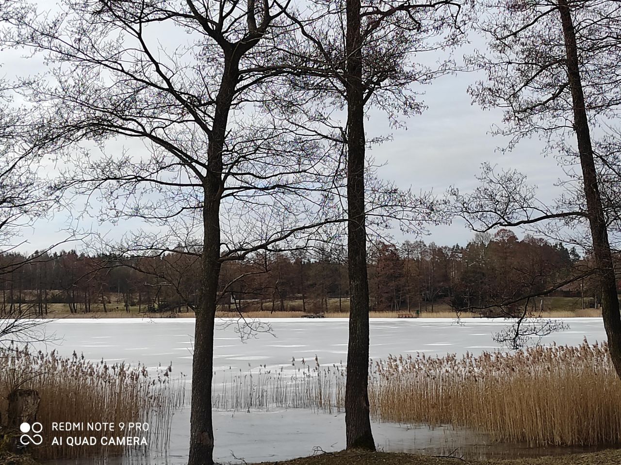Działka rolna Rostki Skomackie. Zdjęcie 23