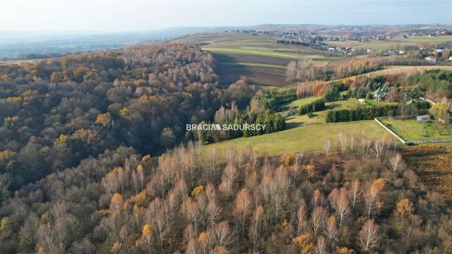 Działka leśna Szyce. Zdjęcie 8