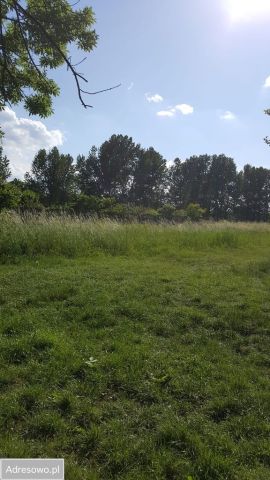 Działka inwestycyjna Żarki, ul. Koziegłowska. Zdjęcie 1