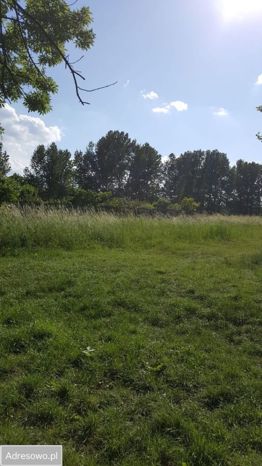 Działka inwestycyjna Żarki, ul. Koziegłowska