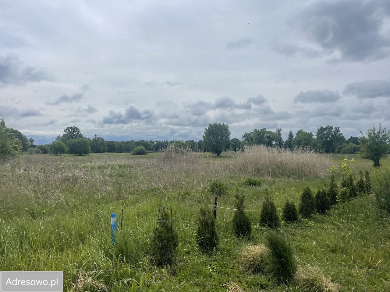 Działka budowlana Sosnowiec. Zdjęcie 7