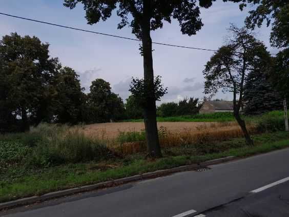 Działka inwestycyjna Kleszczewo. Zdjęcie 4