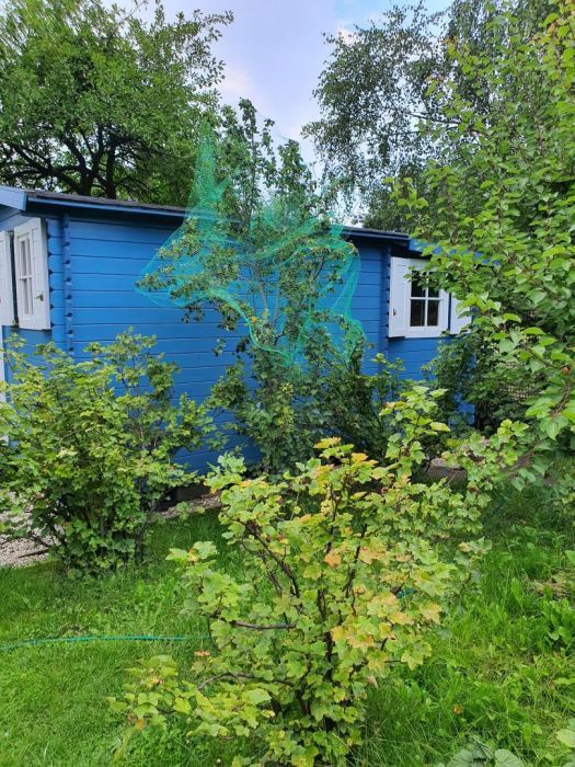 Działka rod Gdańsk Nowy Port, ul. Wyzwolenia. Zdjęcie 11