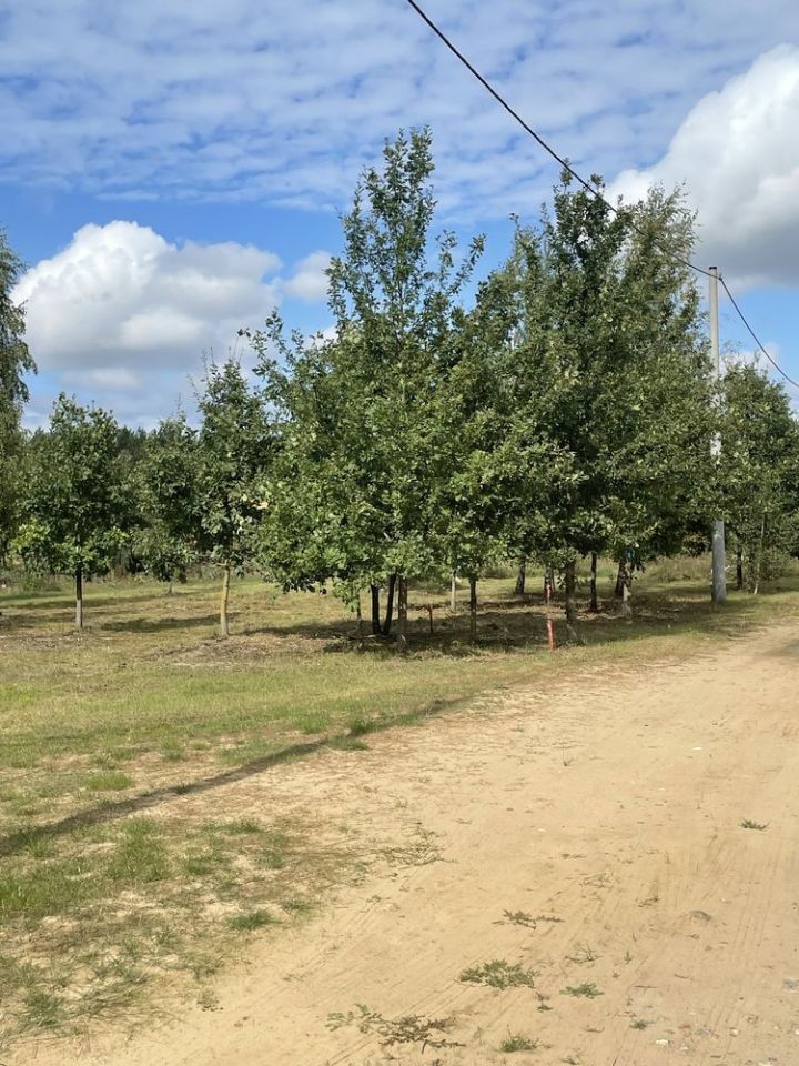 Działka budowlana Rzędziany. Zdjęcie 3