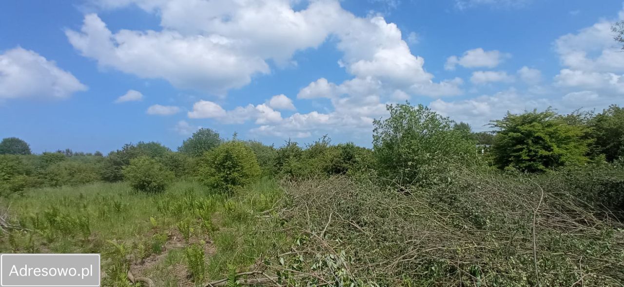 Działka Niechorze. Zdjęcie 4