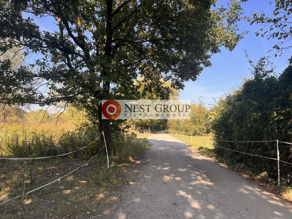 Działka inwestycyjna Skierdy, ul. Lipowa. Zdjęcie 14
