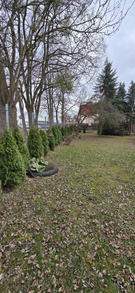 Działka rod Człuchów, ul. Jerzego z Dąbrowy. Zdjęcie 7