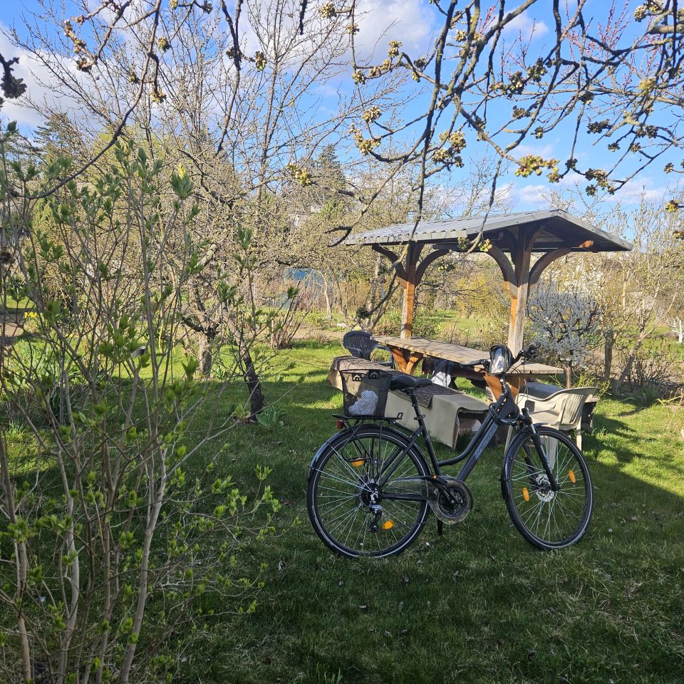 Działka rod Żary, ul. Tatrzańska. Zdjęcie 2