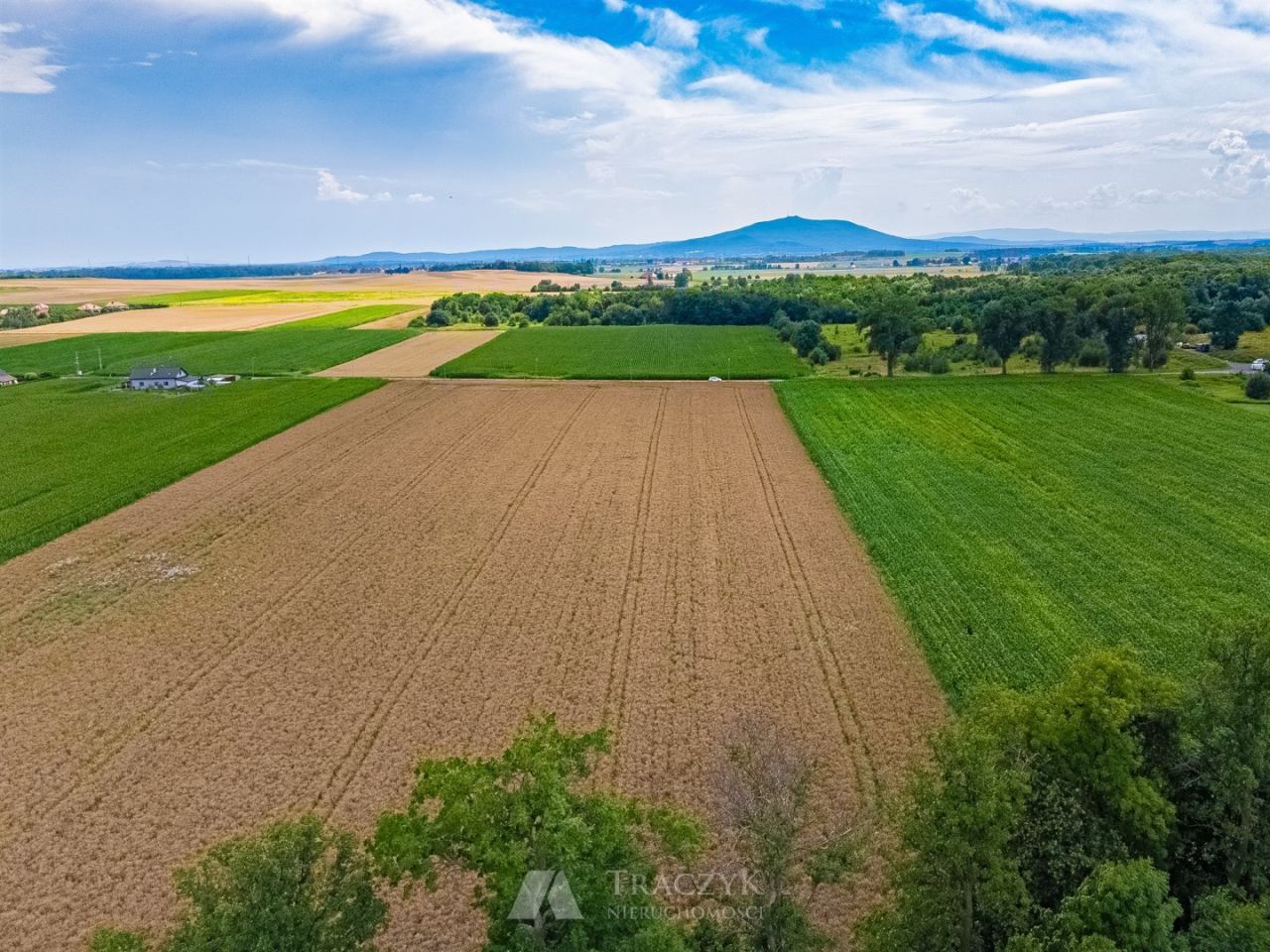 Działka siedliskowa Zachowice. Zdjęcie 19