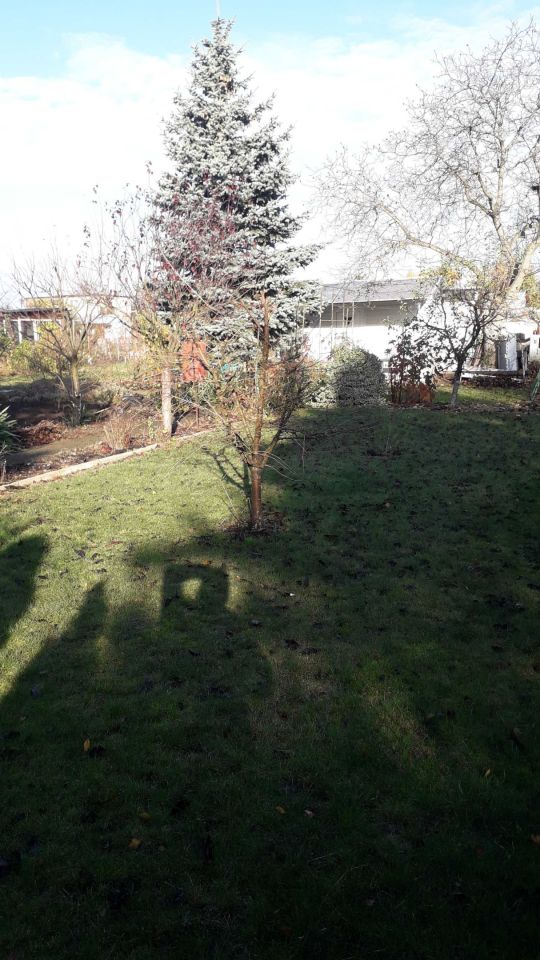 Działka rod Września, ul. Działkowców. Zdjęcie 8