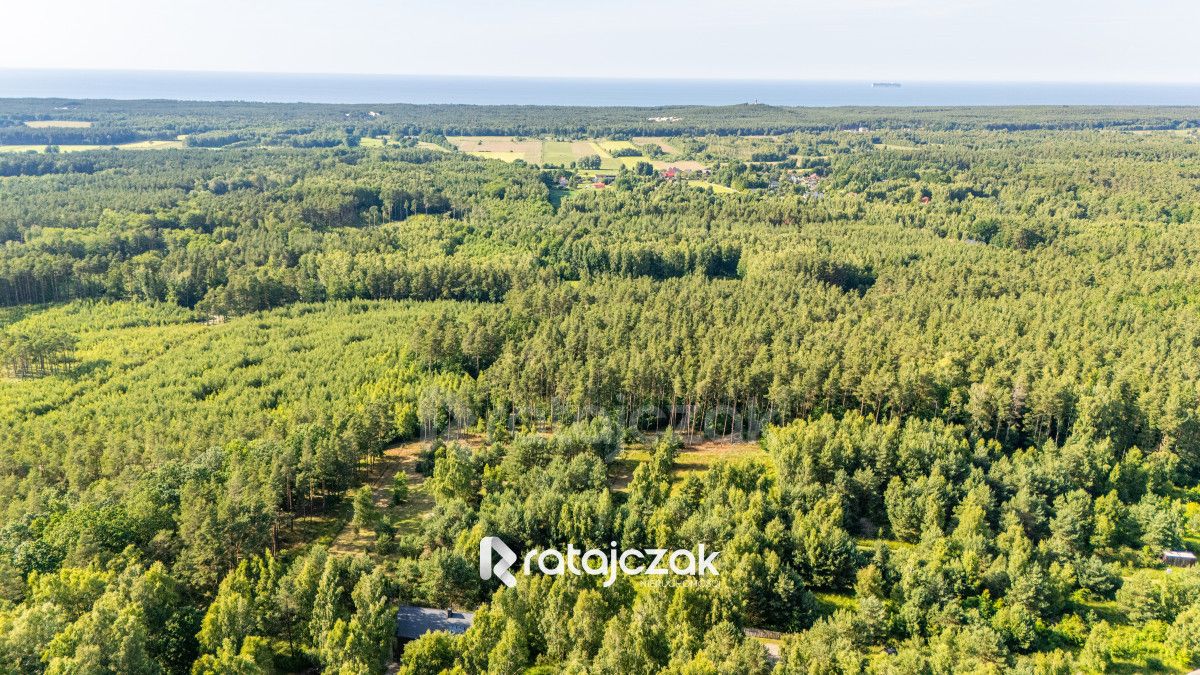 Działka budowlana Sasino, ul. Stara Cegielnia. Zdjęcie 11