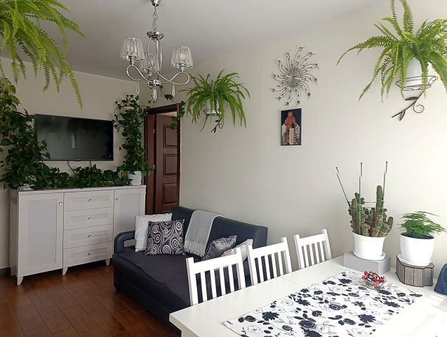 Mieszkanie 2-pokojowe Koło, ul. Zielona. Zdjęcie 1