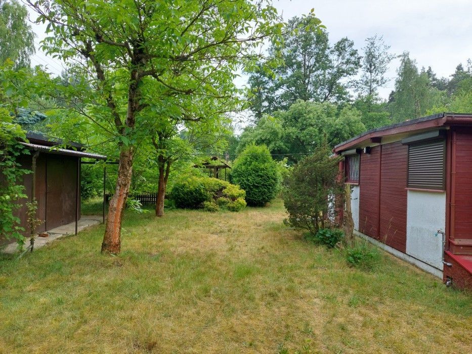 Działka budowlana Drużbice. Zdjęcie 4