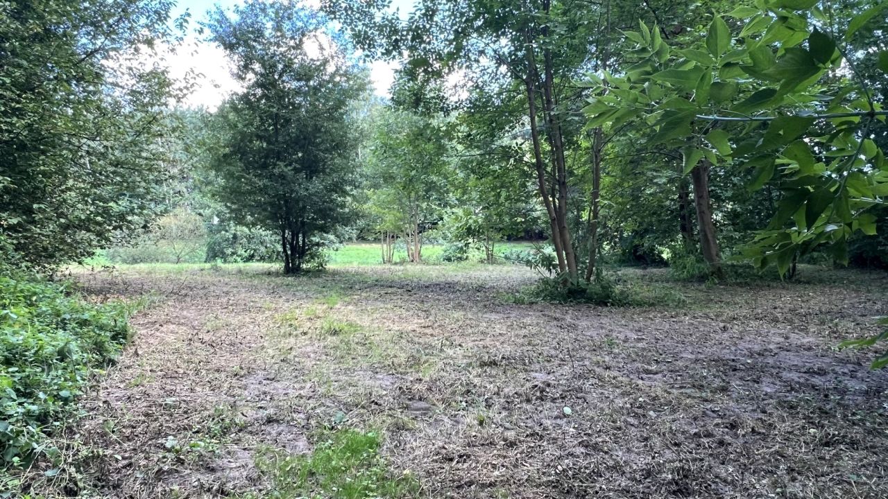 Działka rekreacyjna Mirowice, ul. Sarenki. Zdjęcie 3