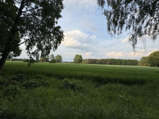 Działka budowlana Przyłuki. Zdjęcie 1