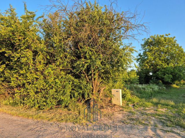 Działka rolna Lublin Węglinek, ul. Folwarczna. Zdjęcie 1