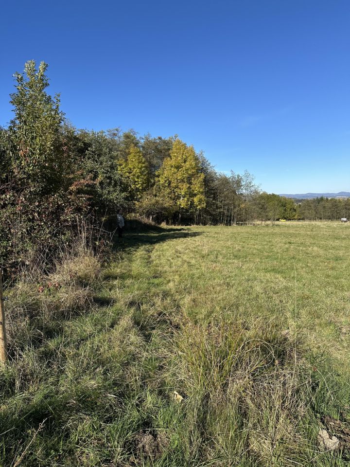 Działka budowlana Szczawina. Zdjęcie 10