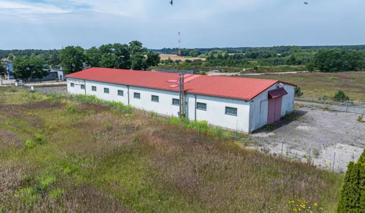 Lokal Brzeźnik