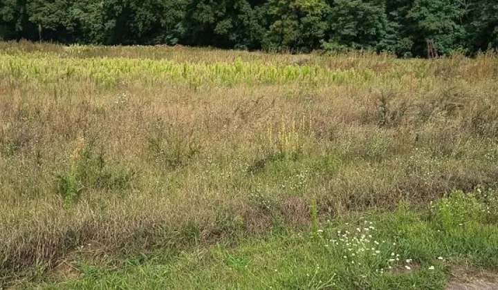 Działka budowlana Dębsko