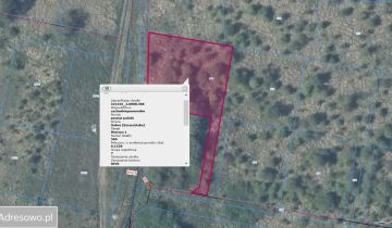 Działka rolna Mierzyn, ul. Niezapominajki