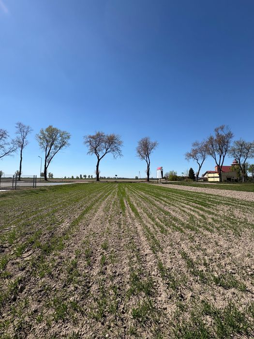 Działka rolno-budowlana Kurów, ul. Wieluńska. Zdjęcie 6