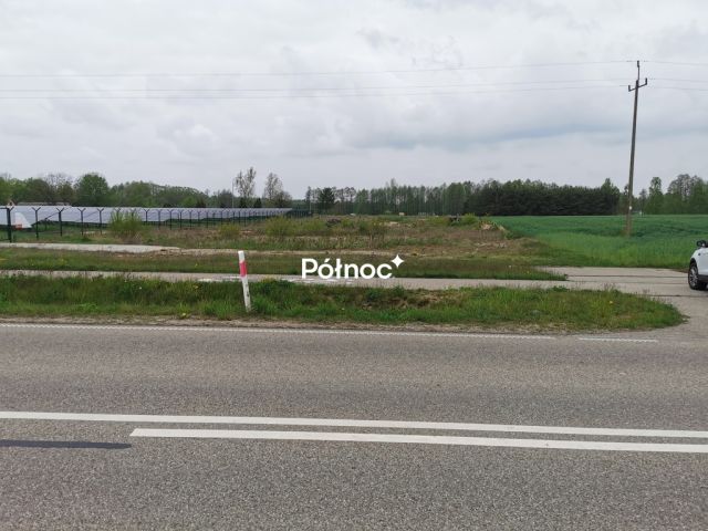 Działka rolna Grabowiec. Zdjęcie 3