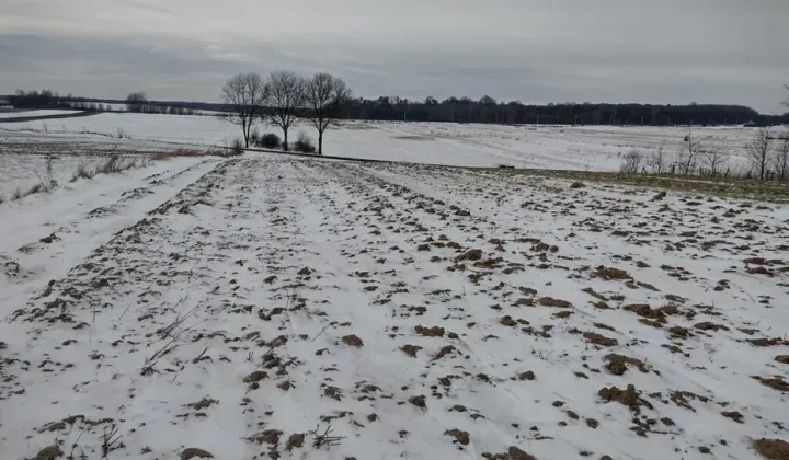 Działka budowlana Blinów Drugi