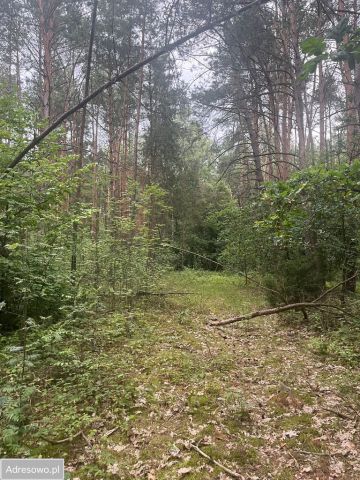 Działka Wólka Zamkowa. Zdjęcie 1