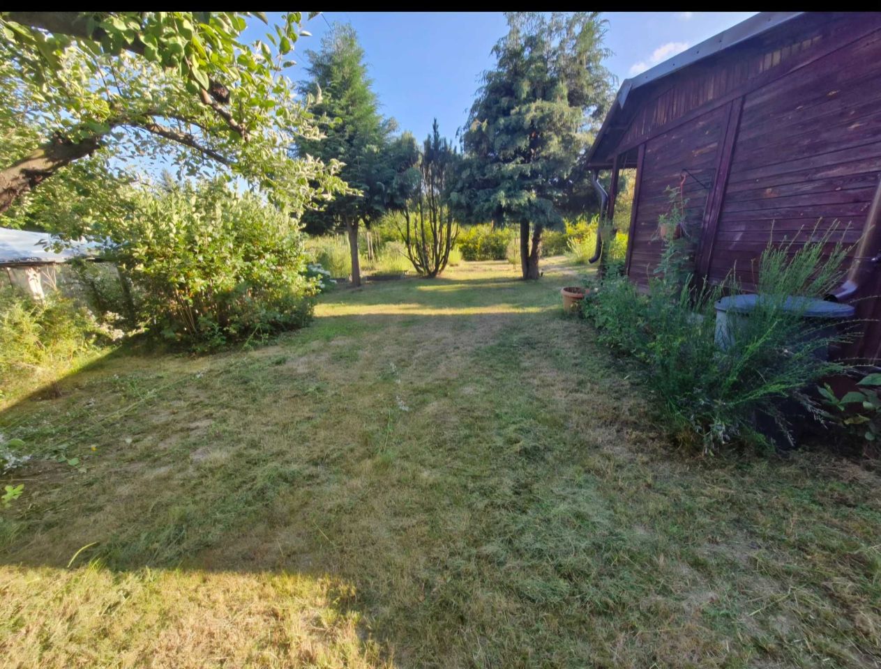 Działka rod Białystok Jaroszówka, Gwiazdkowa 2. Zdjęcie 3