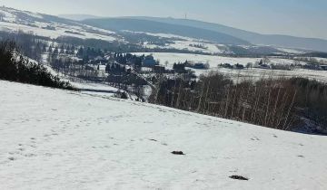 Działka rolno-budowlana Skały