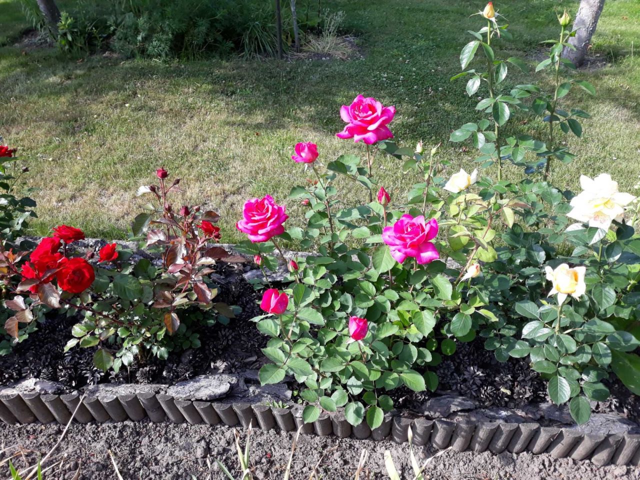 Działka rod Hrubieszów. Zdjęcie 8