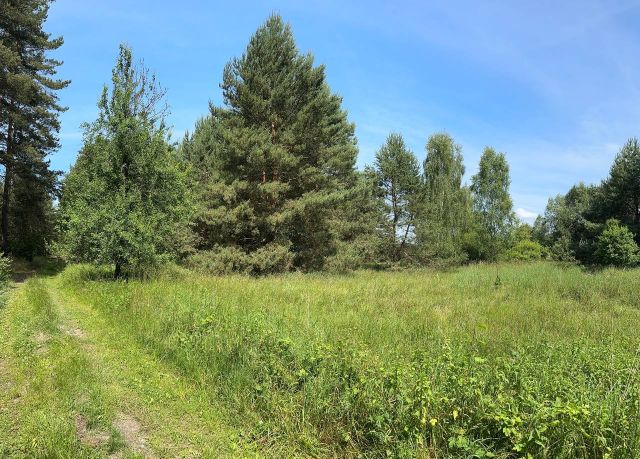 Działka rolna Trzebule. Zdjęcie 1