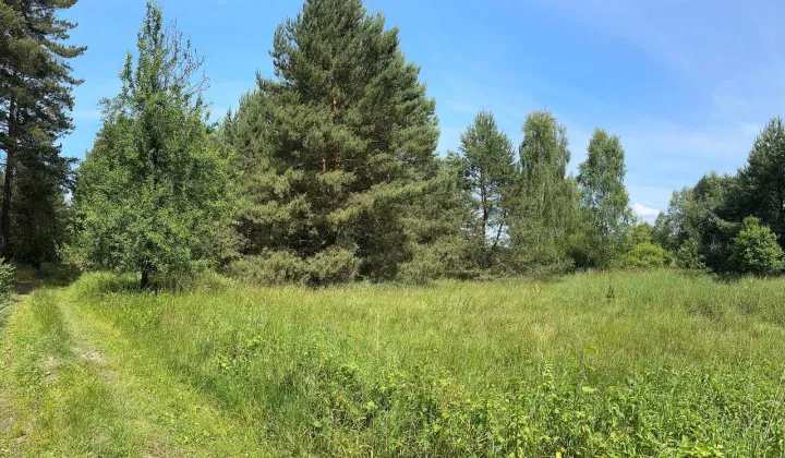 Działka rolna Trzebule