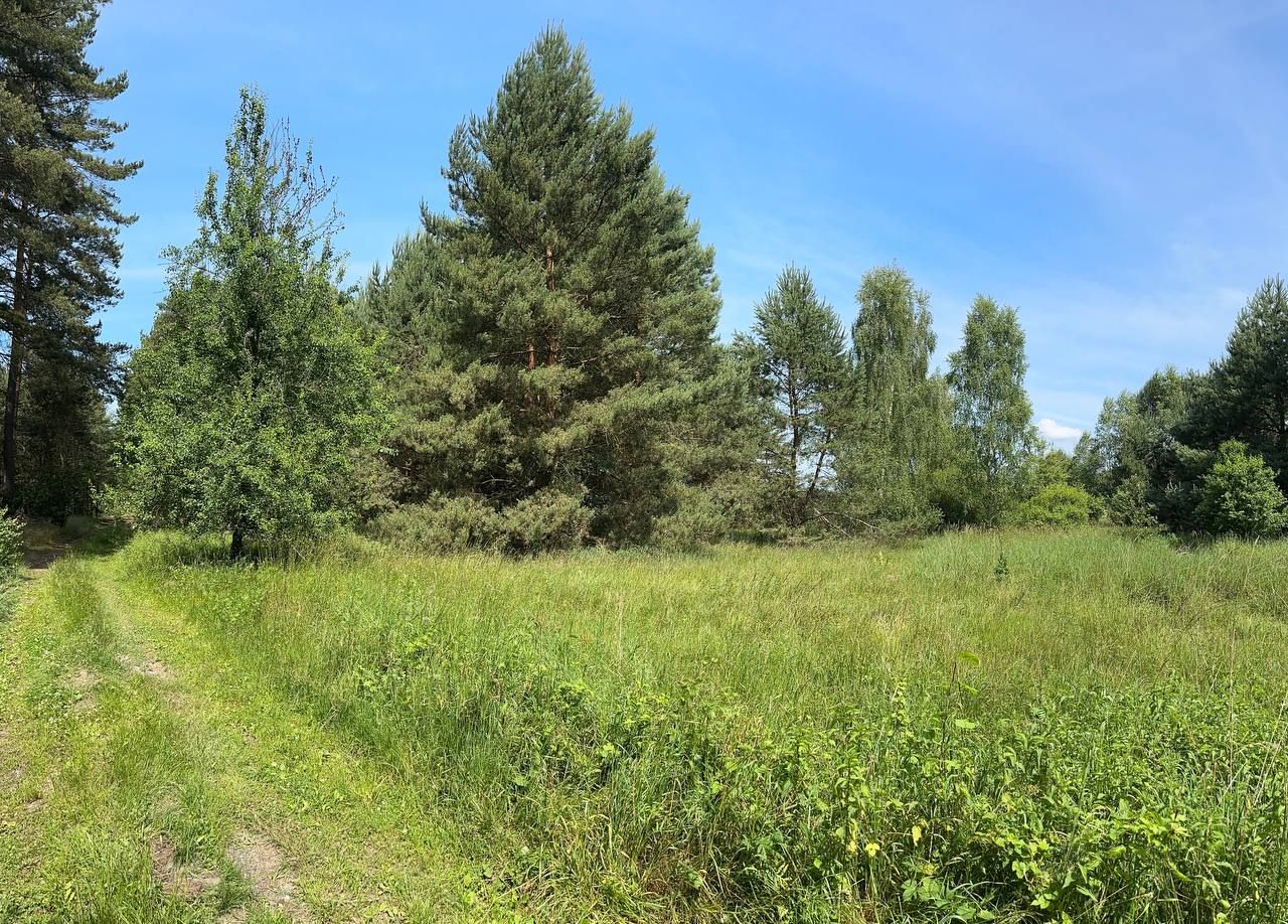 Działka rolna Trzebule. Zdjęcie 1