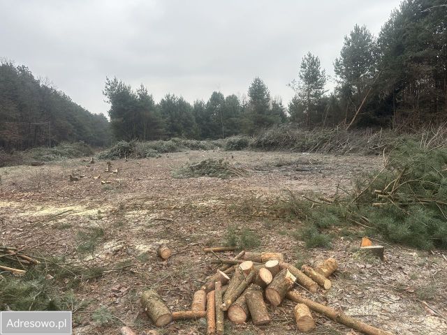 Działka budowlana Baniocha. Zdjęcie 1