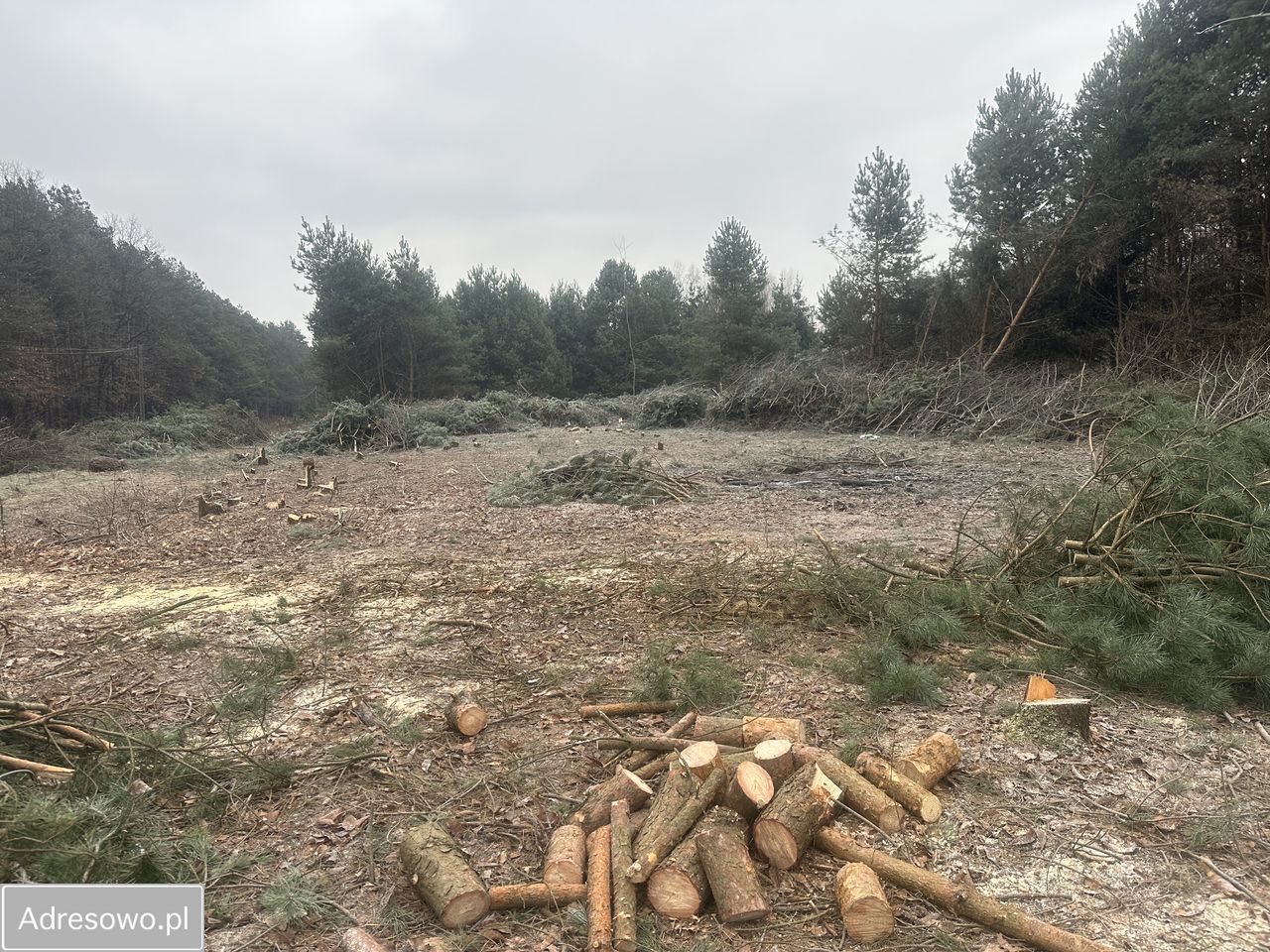 Działka budowlana Baniocha. Zdjęcie 1