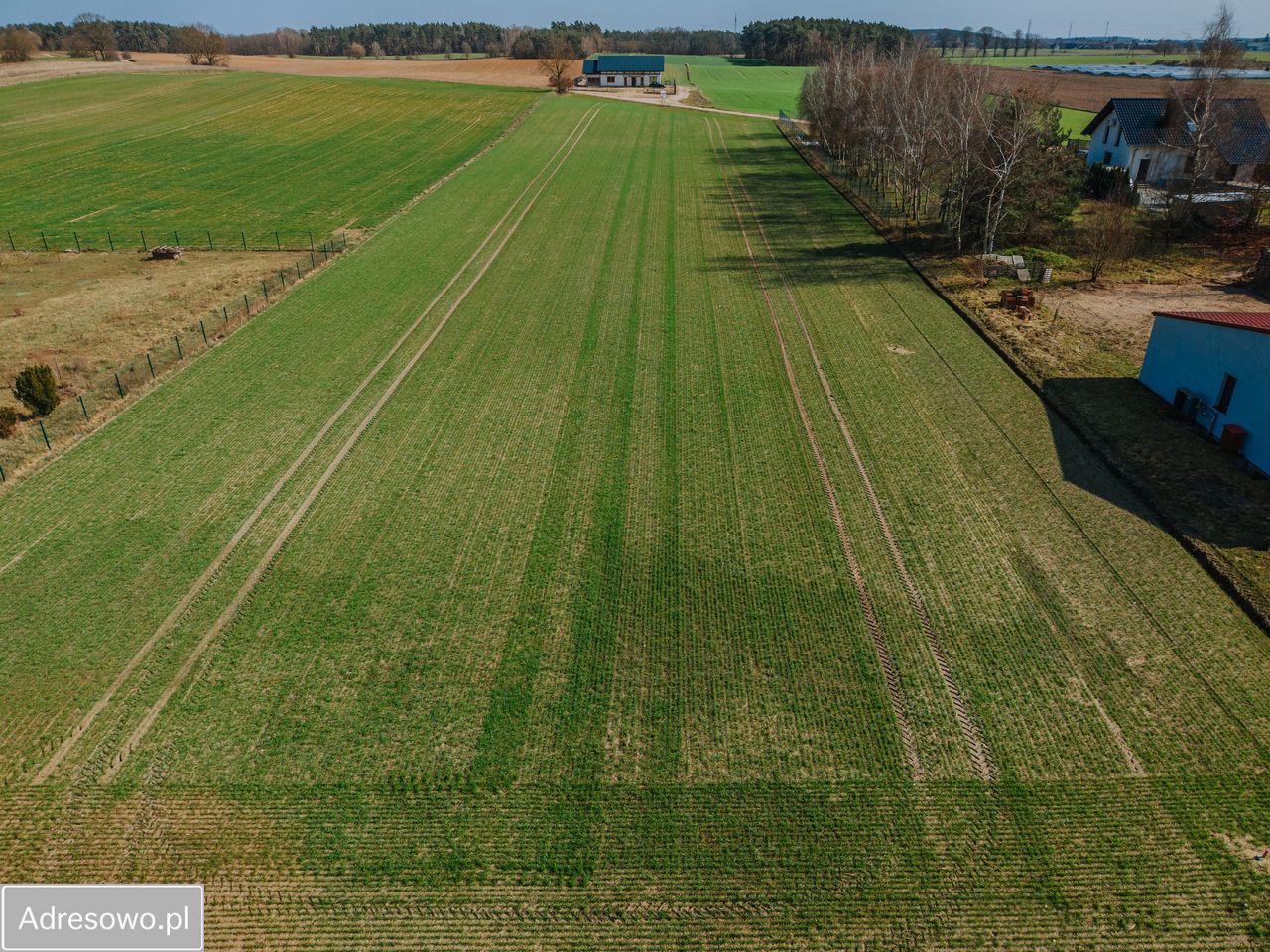 Działka budowlana Lubocześnica. Zdjęcie 6