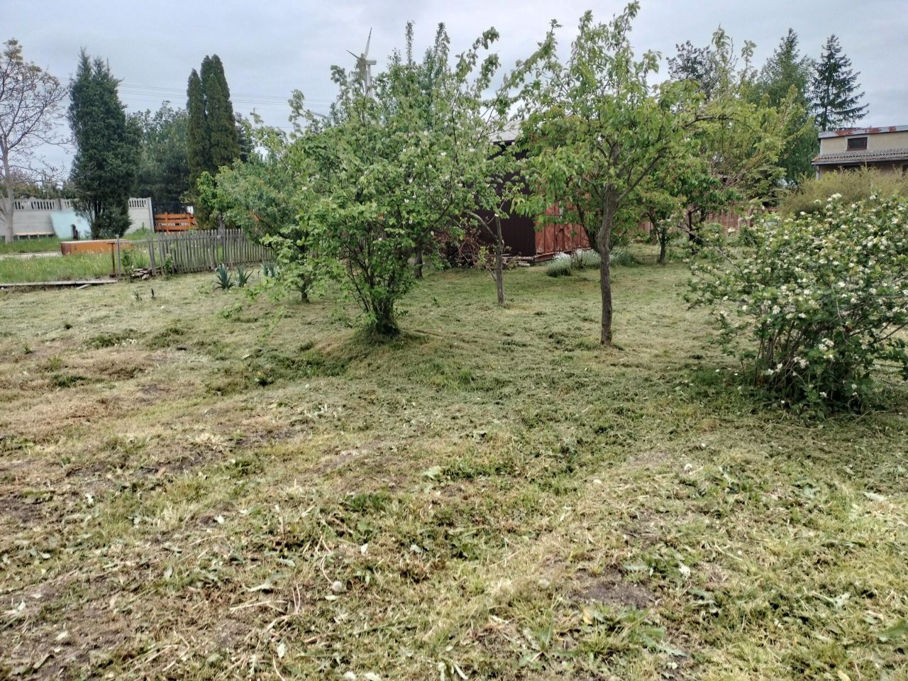 Działka rod Mszczonów, ul. Księcia Józefa Poniatowskiego. Zdjęcie 9