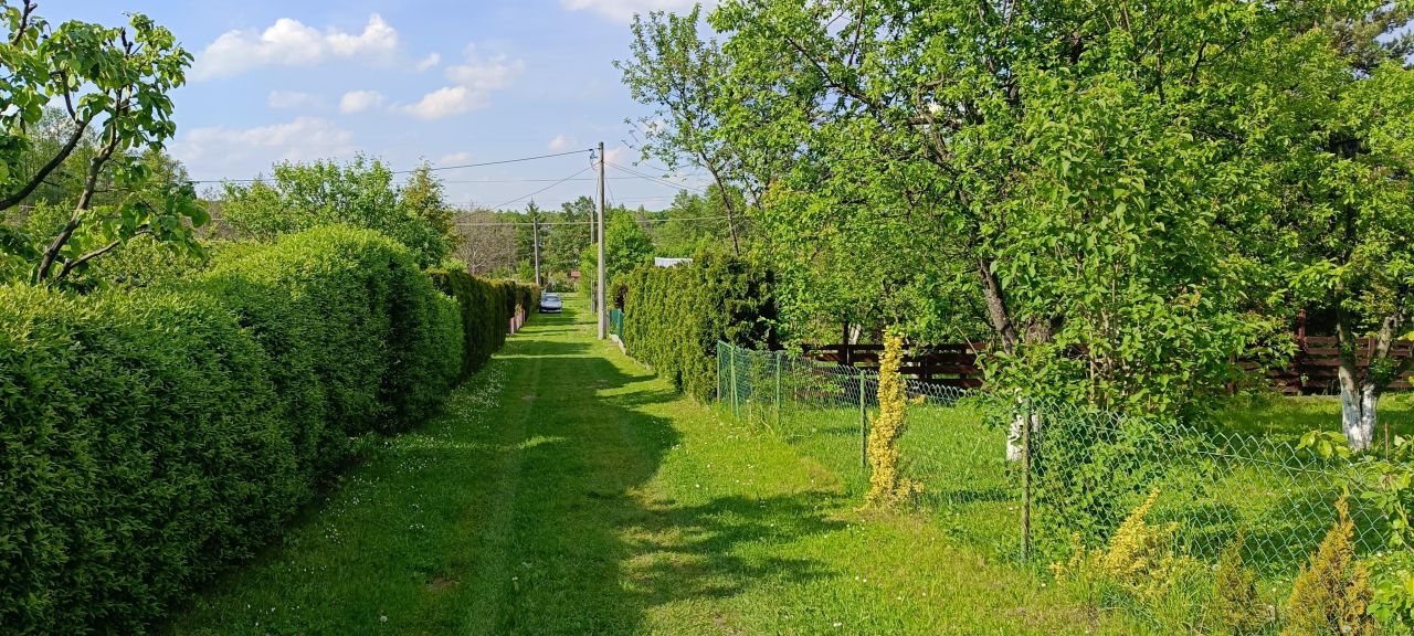 Działka rod Brzesko, ul. Leśna. Zdjęcie 5