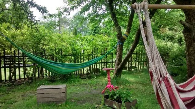 Działka rekreacyjna Chorzów Batory, ul. Leśna. Zdjęcie 1