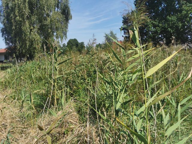 Działka budowlana Mała Nieszawka, ul. Szczęśliwa. Zdjęcie 2