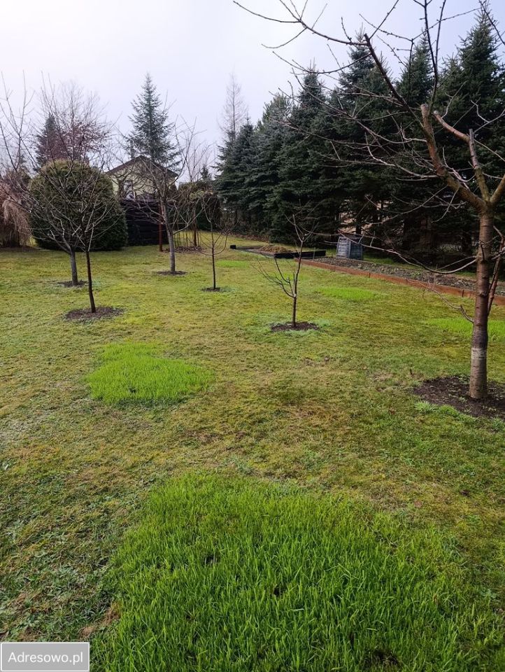 dom wolnostojący, 2 pokoje Winiec. Zdjęcie 14