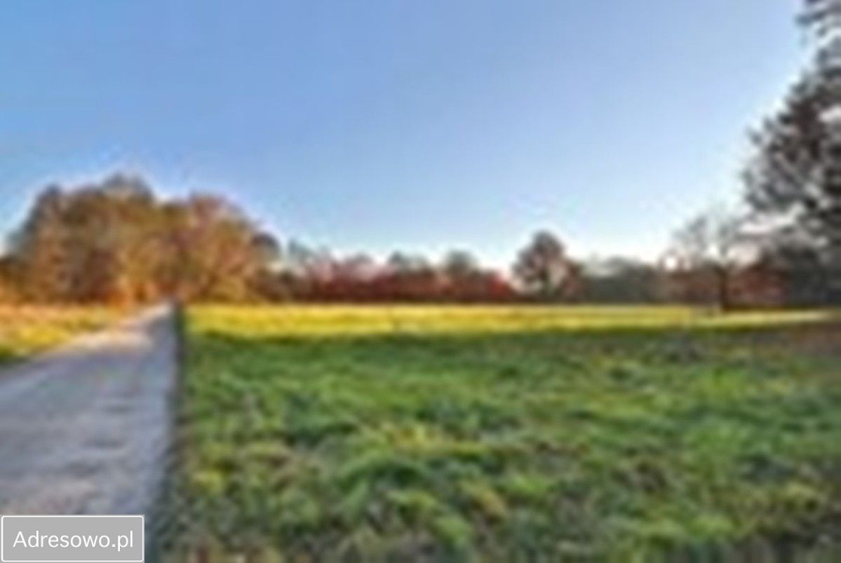 Działka inwestycyjna Arciechów, ul. Dąbrowiecka. Zdjęcie 9