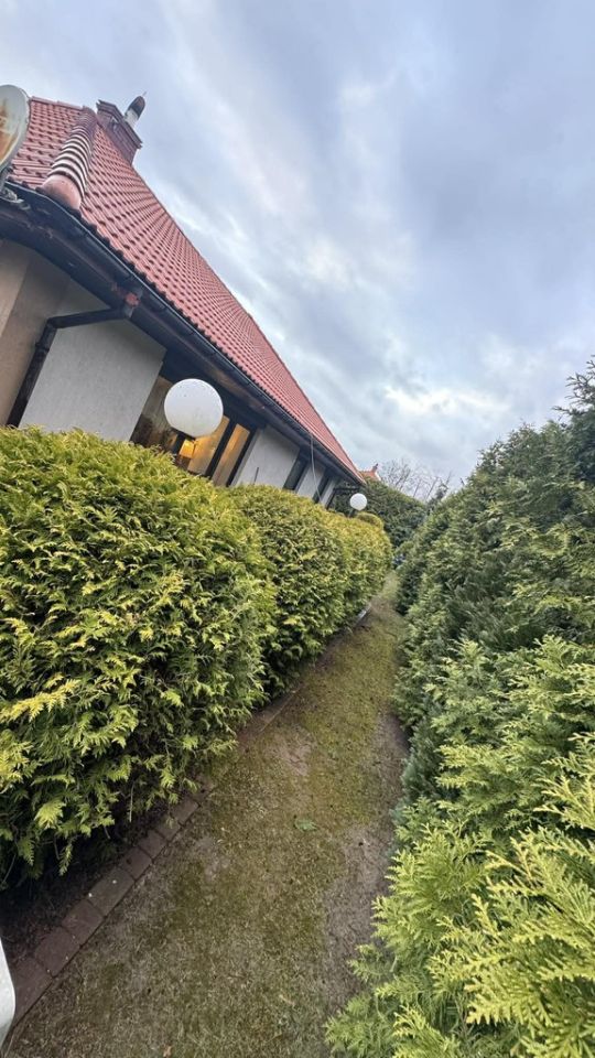 dom wolnostojący, 4 pokoje Rąbień. Zdjęcie 34