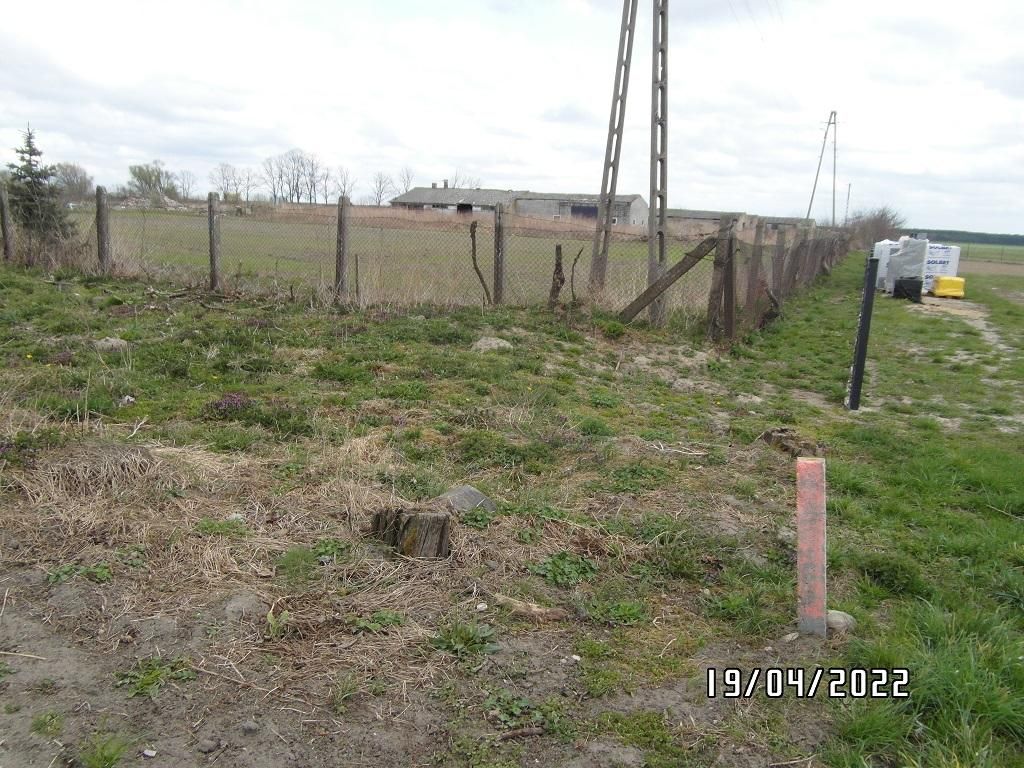 Działka rolno-budowlana Niedrzew Drugi. Zdjęcie 4