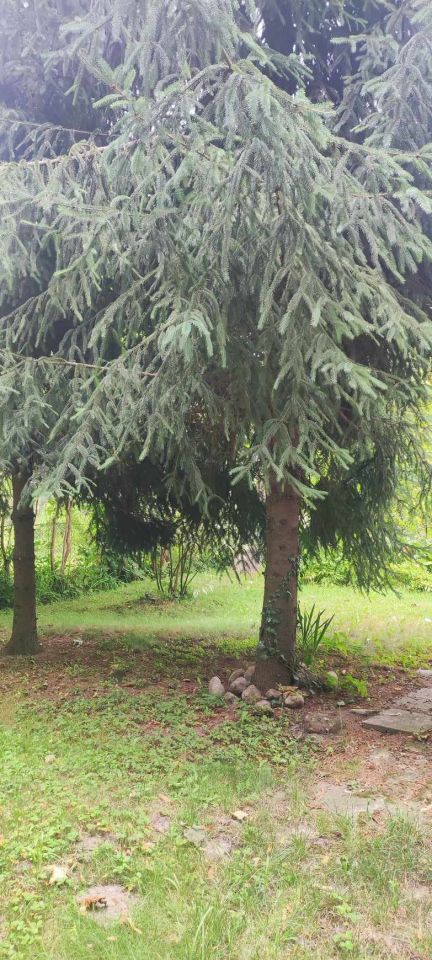 Działka rod Warszawa Mokotów, ul. Racławicka. Zdjęcie 15