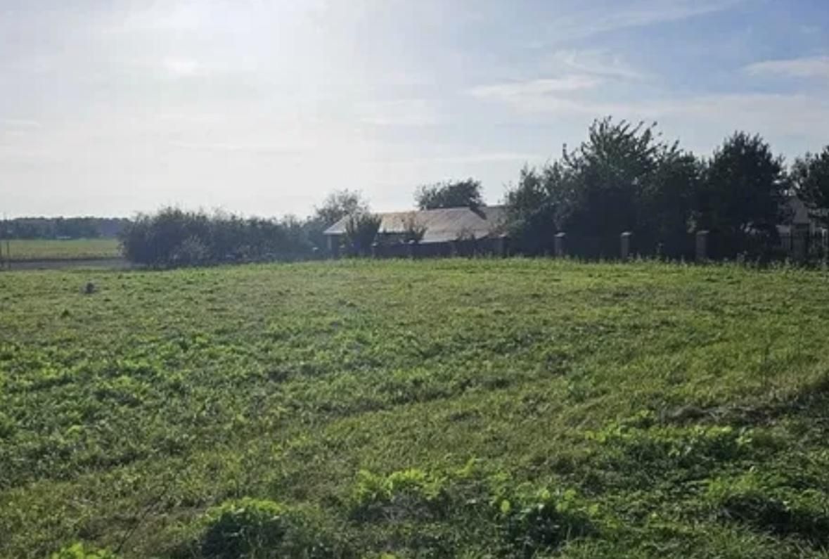 Działka inwestycyjna Rudnik Szlachecki. Zdjęcie 3