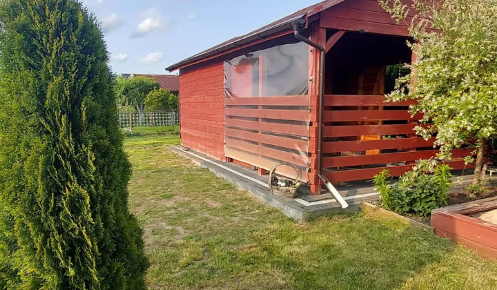 Działka rod Żuromin, ul. Parkowa