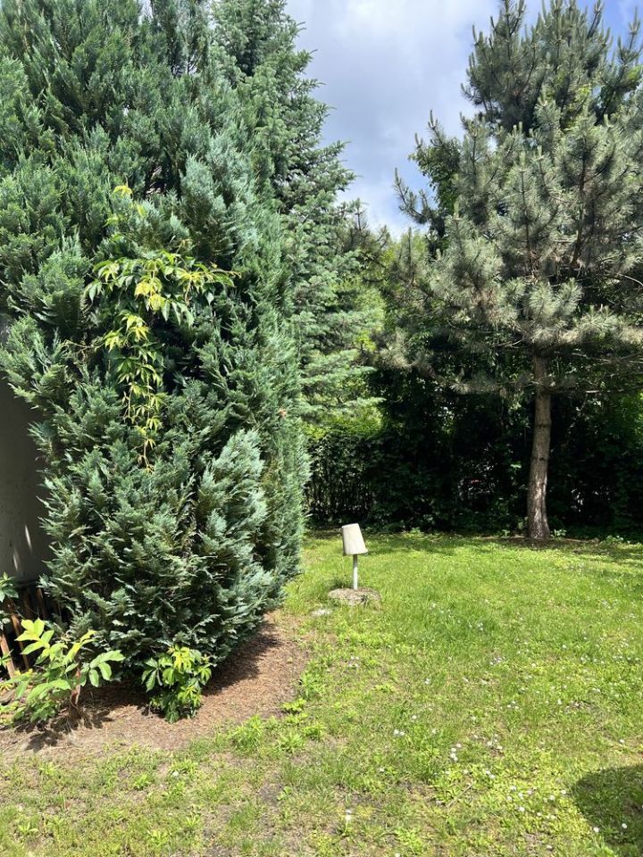 Działka rod Ząbki. Zdjęcie 7