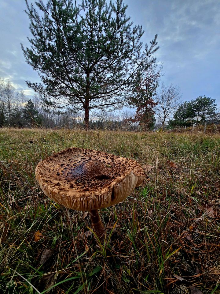 Działka budowlana Żelechów, ul. Letnia. Zdjęcie 11